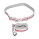 thumbnail image 2 of Juego de correas y collares reflectantes para perros, hebilla de metal, tela de buceo grabada, cuerda para tirar para mascotas, juego rojo M, 2 of 5