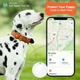 thumbnail image 5 of D-GROEE Dog Collar for Small Puppy Dog, Faux Leather Waterproof GPS Pet Collar, Dog Tracker, Medium Large Boy&Girl&Female Dog, 5 of 8