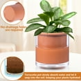 thumbnail image 7 of EFISPSS 6-inch Self-Watering Terracotta Pot with Glass Reservoir, Indoor/Outdoor Flower Planter for Succulents Herbs, Home Office Balcony Garden Decor, 7 of 7