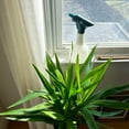 thumbnail image 6 of SprayMate Spritz 1-Liter Battery Powered Spray Bottle EPDM Plastic, 6 of 7