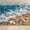5x3FT, variant on Seaside Beach Theme Backdrop Summer Hawaiian Sea Beach Starfish Seashell Background Tropical Ocean Wave Beach Wedding Birthday Decorations Banner Photo Studio Props
