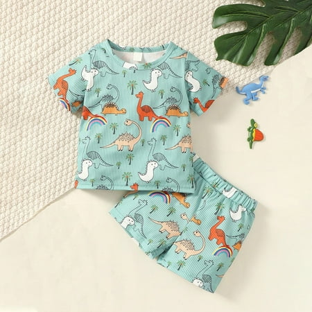 

Huilaibazo Baby Suit Summer Cartoon Dinosaur Cute Factory Summer Boy Cartoon Short Sleeve T Shirt Shorts 2pcs Suit