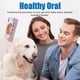 thumbnail image 4 of Herramienta dental profesional para perros y gatos: elimina eficazmente la placa y los residuos [5 ml de capacidad], 4 of 7