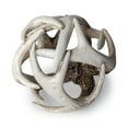 thumbnail image 5 of Mercana Ramus I 4.8" horn shaped  decorative brown resin orb ball, 5 of 10