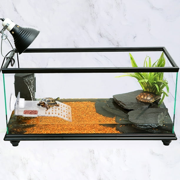 Plataforma Para Tomar El Sol ANGGREK Rampa Para Tortugas | En Línea