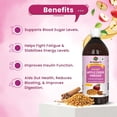 thumbnail image 4 of Dr. Patkar's Apple Cider Vinegar with Cinnamon Fenugreek Unfiltered Undiluted with Mother Suitable for Sugar Control, pack of 1, 500 ml, 4 of 7