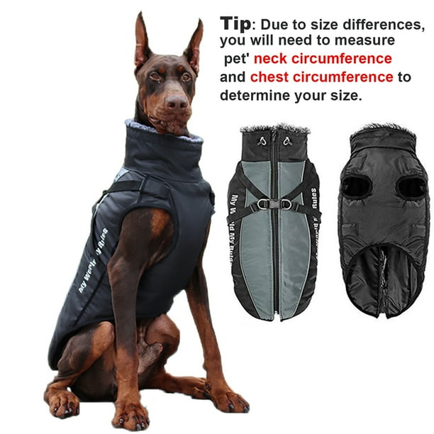 Zip dog sale coat