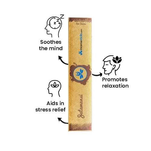 Zen Jatamansi Incense Sticks, 8", 12 Sticks per Pack, 10 Packs