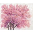 thumbnail image 2 of OToole, Tim 24x20 Black Ornate Wood Framed with Double Matting Museum Art Print Titled - Pink Cherry Blossom Tree I, 2 of 4