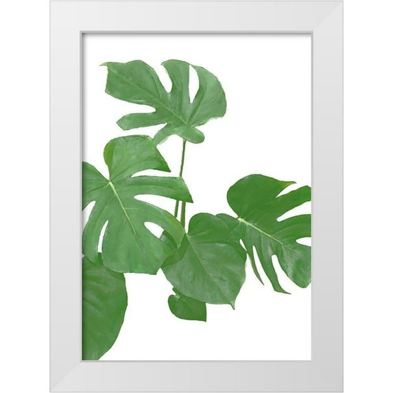 Artographie Studio 11x14 White Modern Wood Framed Museum Art Print Titled - Monstera Green 02