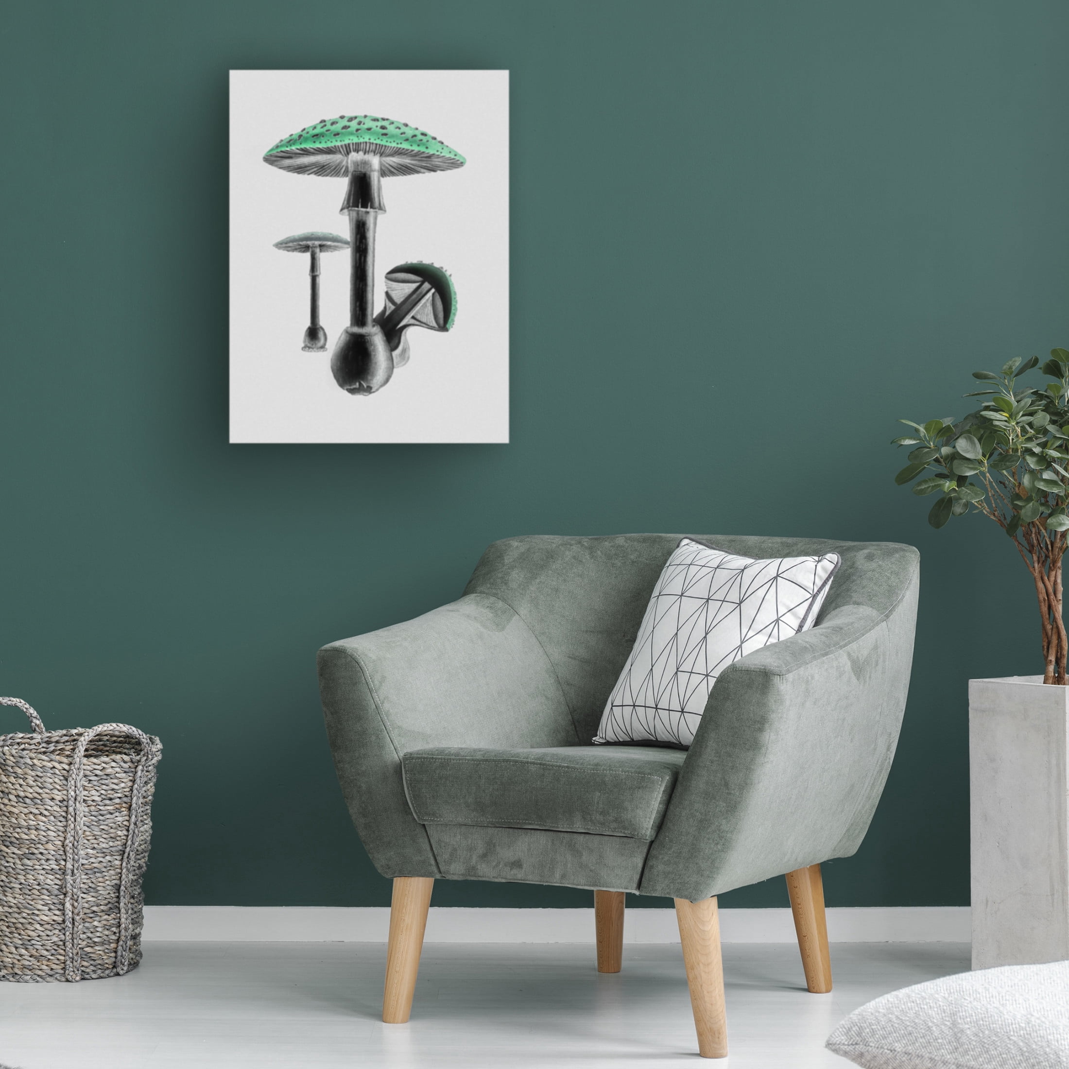 Trademark Fine Art Pictufy Amanita Muscaria White Background Green Canvas Wall Art