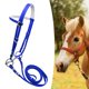 thumbnail image 1 of Brida para caballo con rienda y cabezada de acero inoxidable, bocado de anilla, cuerda para montar a caballo L azul, 1 of 8