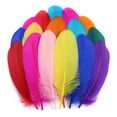 thumbnail image 2 of 200 Pcs Colorful Craft Feathers MODANU 5-6inch Colored Feathers for DIY Crafts, Dream Catchers, Cosplay Wings and Home Party Decorations, 2 of 6