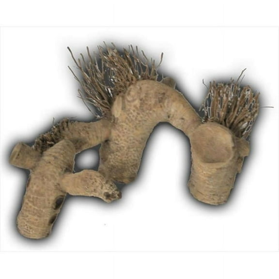 A&E Cage AE2111 Medium Spider Root