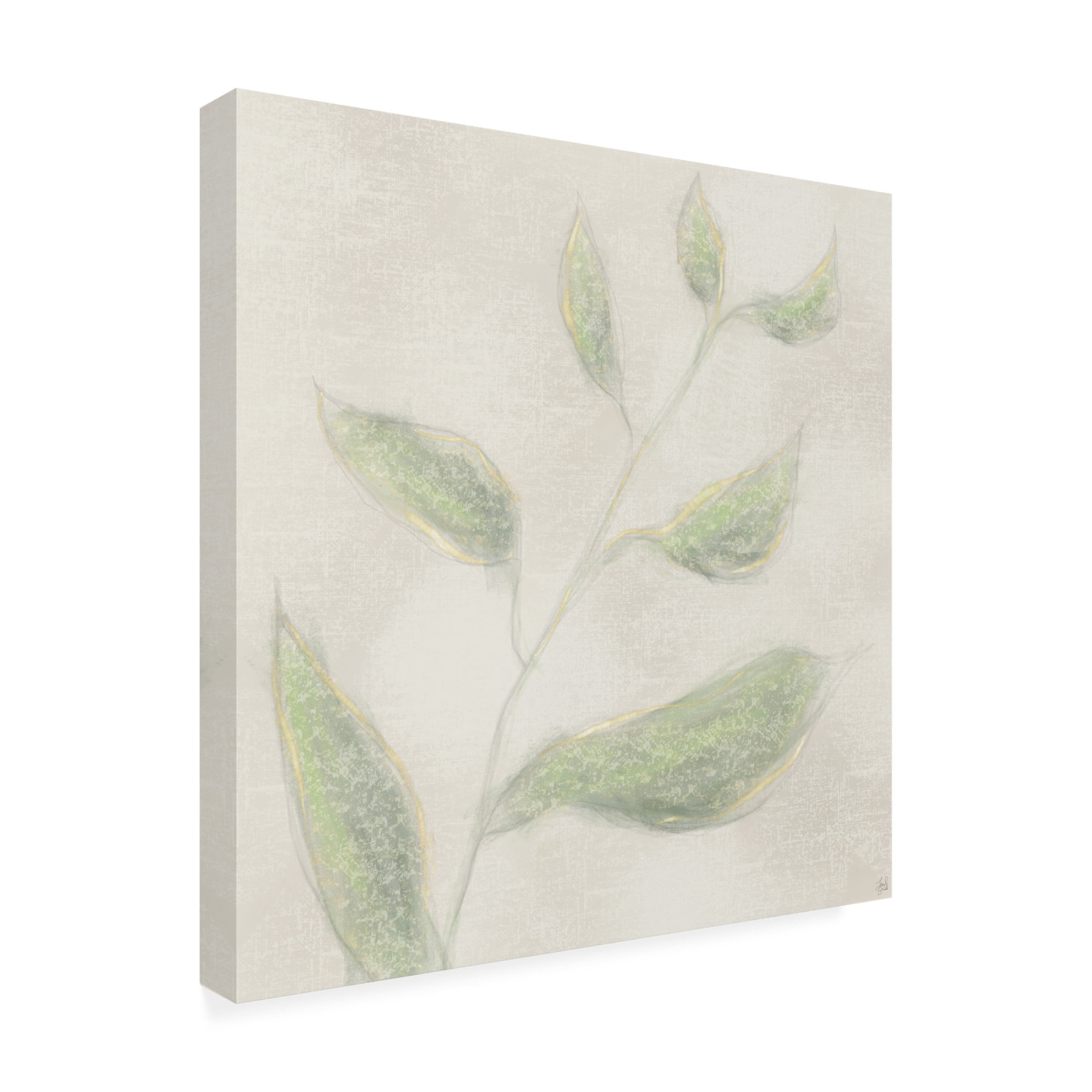 Canvas Wall Art - Line and Brush 'Botanical Single Growth 1' Wall Art for Living Room, Bedroom, or Office Décor by Trademark Fine Art - 14 x 14 Inches