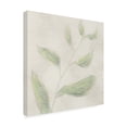 thumbnail image 2 of Canvas Wall Art - Line and Brush 'Botanical Single Growth 1' Wall Art for Living Room, Bedroom, or Office Décor by Trademark Fine Art - 35 x 35 Inches, 2 of 4