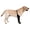 Black right leg, variant on Msioytog 1Pc Dog Socks to Prevent Licking Paws Dog Recovery Sleeve Socks Healings Boot & Paws Protectors with Anti-Slip Bottoms