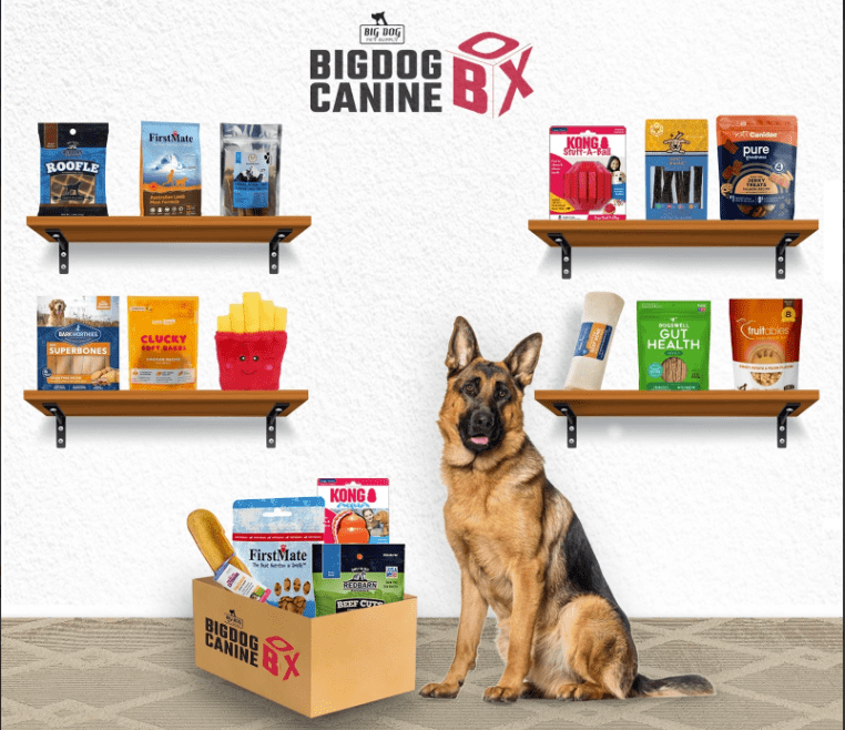BigDog Canine Box, Treats and Toy Box, Large Dogs