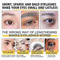thumbnail image 3 of Jaysuing Eyelashe Essence Black Curly Long Thick Gentle Natural Beautiful Moisturizing Curling Eyelash Eyelashe Essence - 10Ml Boxed, 3 of 5