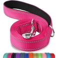thumbnail image 1 of Jinswick Reflective Dog Leash Dog Training Leash Nylon Braided 4ft 5ft 6ft Heavy Duty with D for Large and Medium Dogs Comfortable for Running Training, 1 of 20