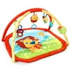 Bright Starts Lion in the Park Activity Gym