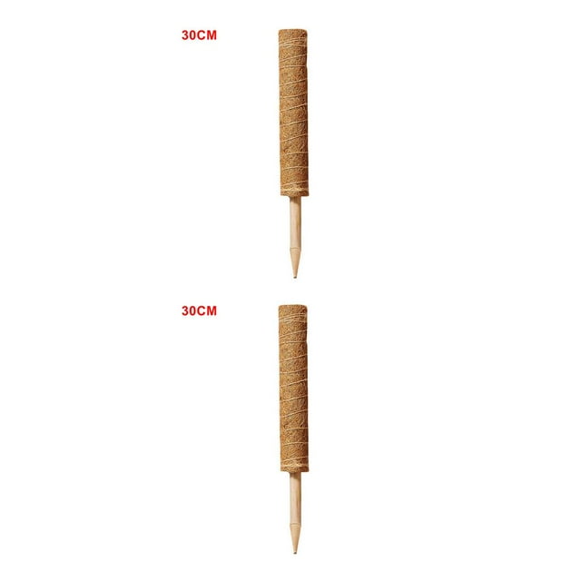 Bewildely Palo de musgo de fibra de coco para trepar plantas, 1 unidad Type1 NO1 Bewildely CBP089070