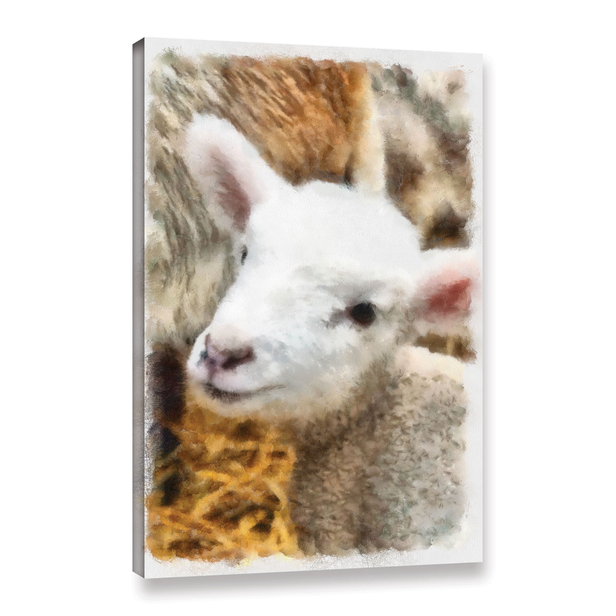 ArtWall Kevin Calkins "Lamb in Spring" Gallery-Wrapped Canvas