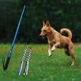 thumbnail image 4 of Milaget Dog Extendable Teaser Interactive Toy Pet Stick for Training Exercise Blue 69cm, 4 of 8