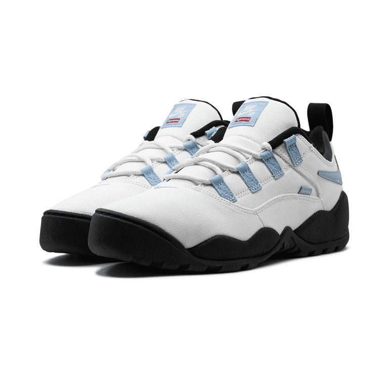 Nike, SB Darwin Low, FQ3000 100, Sail Boarder Blue-Black - Walmart.com