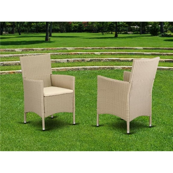 Invernadero Valencia 2-Piece Resin Wicker & Steel Outdoor Patio Chair, Cream