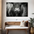 thumbnail image 3 of Elephant Stock Long Haired Highland Cow Wall Art - Horizontal Canvas Wall Art - Living Room Wall Decor - Animal Canvas - Black And Gray Decor - 51" x 34", 3 of 8