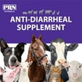 thumbnail image 7 of PRN Pharmacal Digestive Support Supplement Suspension for Animal, 1 Gallon, 7 of 7