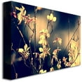 thumbnail image 2 of Trademark Fine Art Young 'Sunshine in my Garden' Canvas Art by Beata Czyzowska, 2 of 2