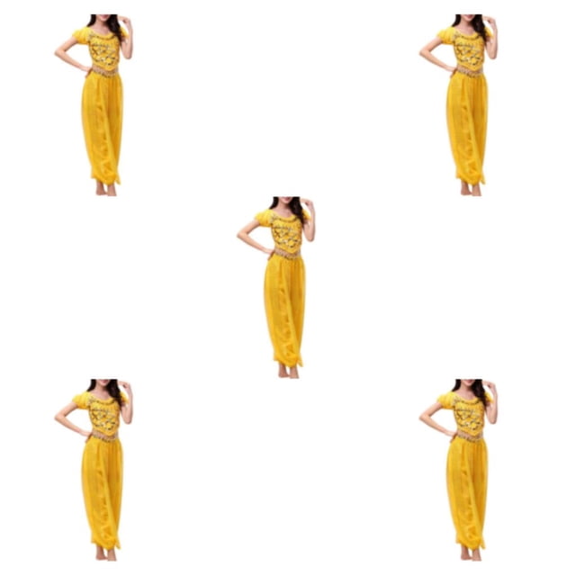 Sonducket Pantalones de danza del vientre indio, conjunto de disfraz de parte trasera de baile, ropa de moda de manga Sexy, actuación para Type2 NO2