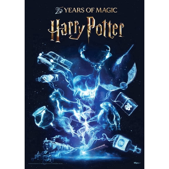 Harry Potter (25 Years of Magic) MightyPrint™ Wall Art MP17241114