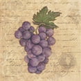 thumbnail image 3 of Marrott, Stephanie 15x15 Black Modern Framed Museum Art Print Titled - Grapes I, 3 of 5