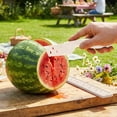 thumbnail image 5 of Cook With Color Watermelon Knife, Extra-Long Serrated Stainless Steel Blade for Melons, Cream, 5 of 5