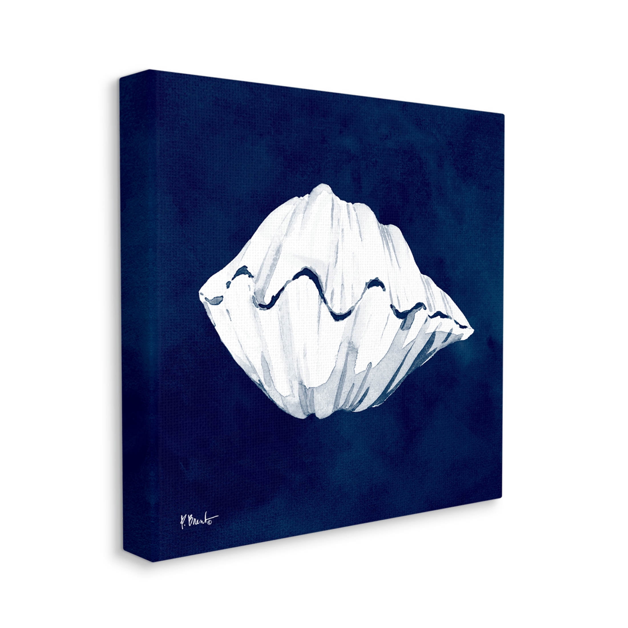 Stupell Industries Cyanotype Shells Coastal Clam Graphic Art Gallery Wrapped Canvas Print Wall Art, Design by Paul Brent