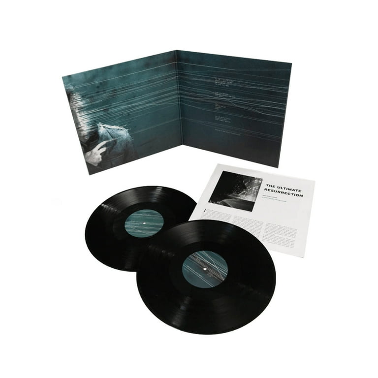 Nine Inch Nails - With Teeth - Music & Performance - Vinyl