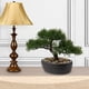 thumbnail image 3 of Árbol Bonsái Artificial Briful Junípero con Maceta de Cerámica 23 cm, 3 of 7