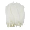 thumbnail image 2 of 50 piezas de plumas de ganso naturales grandes para hacer joyas, atrapasueños, manualidades DIY Blanco, 2 of 8