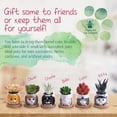 thumbnail image 6 of Keep On Planting Cat Gifts for Women, Cat Gifts for Cat Lovers - Cat Decor 6 Pack Cat Planter Pot - Cat Lover Gifts for Women - Cat Mom Gifts for Women, 6 of 13