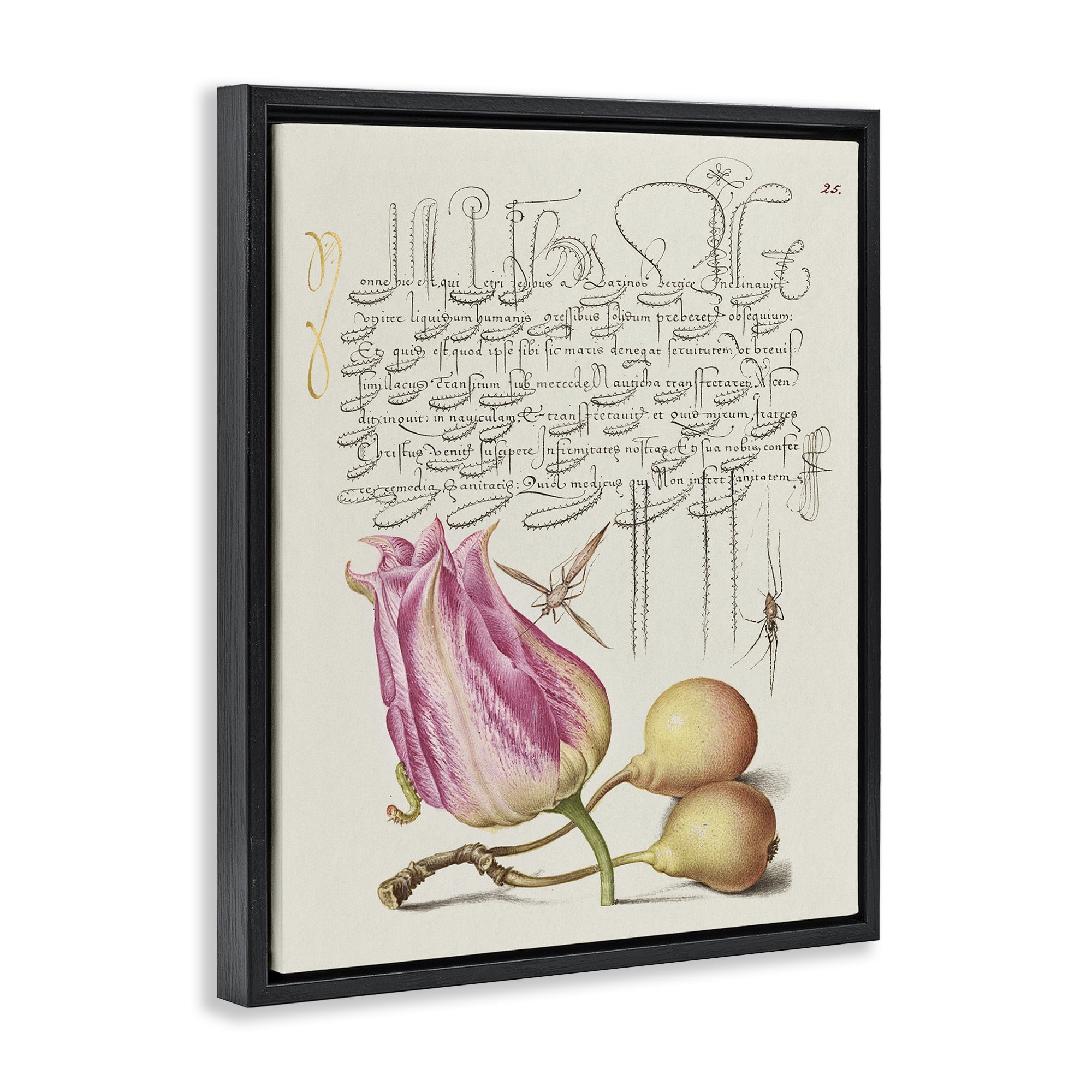 Stupell Industries Budding Lily Vintage Page Text & Numbers Painting Black Floater Framed Canvas Art Print Wall Art, 17 x 21