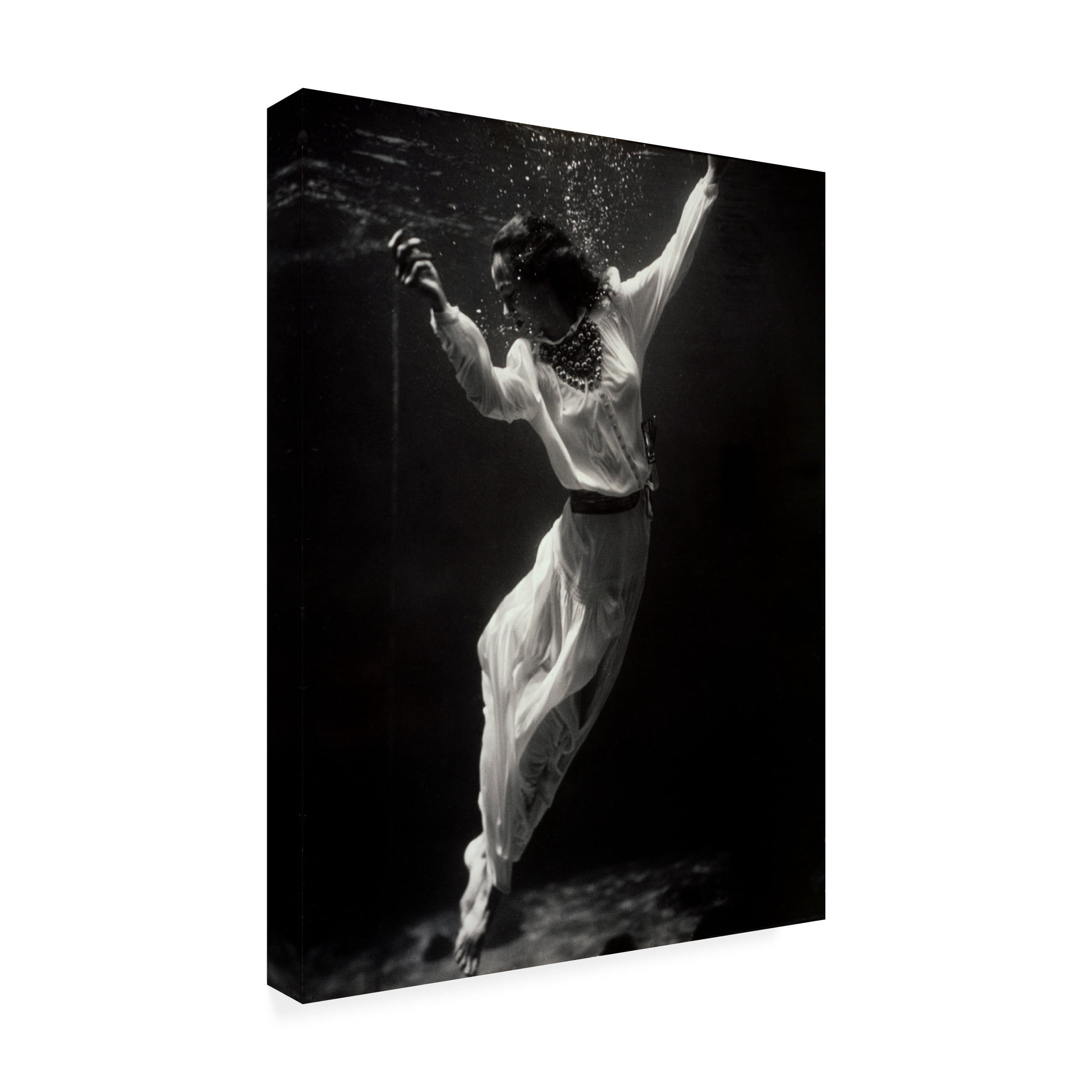 Print Collection 'Fashion Model Underwater in Dolphin Tank' Canvas Art