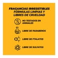 thumbnail image 4 of Kit Travel Fragancia y Crema Holler and Glow Miami, 4 of 5