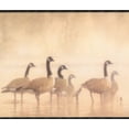 thumbnail image 1 of Oies sur le Lac Papier Peint Beige Bord Design Rétro, Rouleau 15' x 6''', 1 of 3