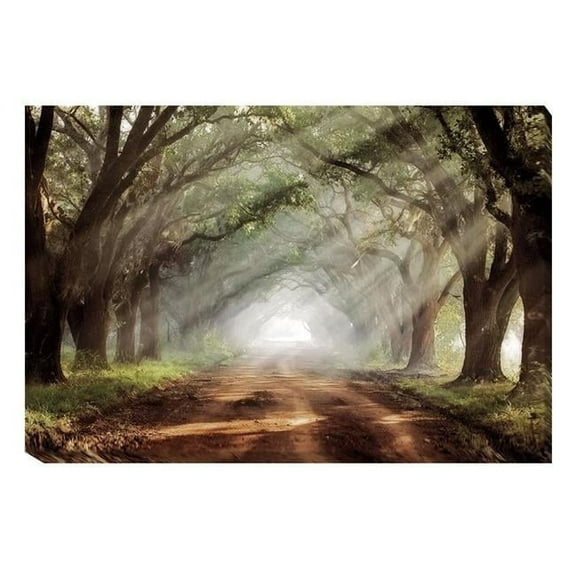 Evergreen Plantation by Mike Jones Premium Gallery-Wrapped Canvas Giclee Art - Ready to Hang, 24 x 36 in.