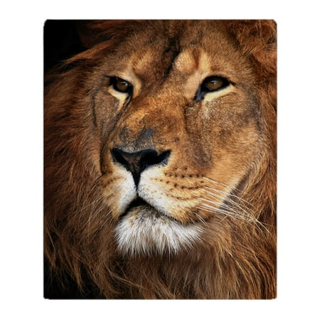 CafePress Lion Soft Fleece Throw Blanket 40x40 Stadium Delectable Lion Blanket Or Throw CafePress Lion Soft Fleece Throw Blanket 40x40 Stadium Delectable Lion Blanket Or Throw