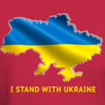 thumbnail image 3 of CafePress - I Stand With Ukraine Flag Ukrainian Pride T Shirt - Men's Classic Graphic Cotton T-Shirt, 3 of 4