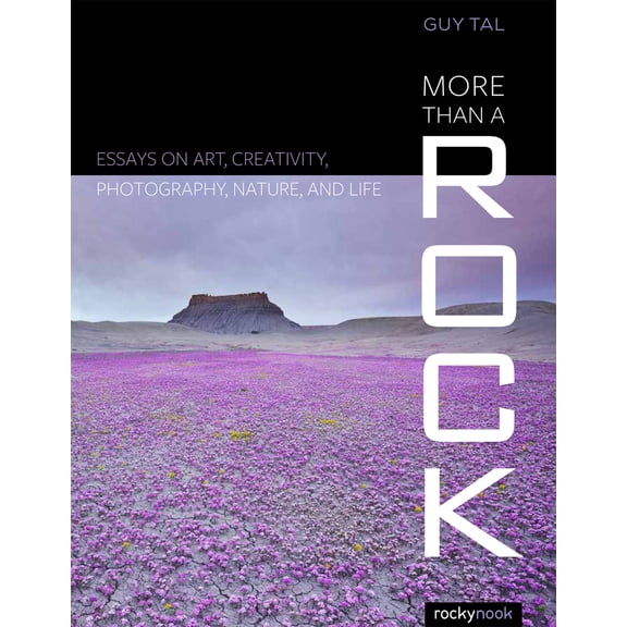 Pre-Owned More Than a Rock: Essays on Art, Creativity, Photography, Nature, and Life (Paperback) 1937538826 9781937538828